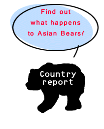 Country Report. Find out what happens to Asian Bears!